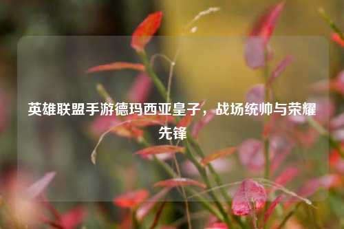 英雄联盟手游德玛西亚皇子,战场统帅与荣耀先锋