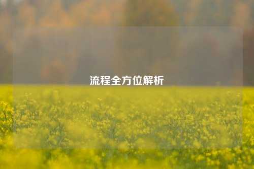 流程全方位解析