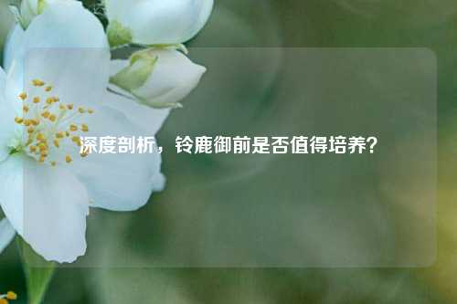深度剖析,铃鹿御前是否值得培养?