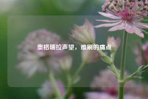 奥格瑞拉声望,难刷的痛点