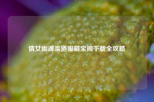 倩女幽魂渠道服藏宝阁下载全攻略
