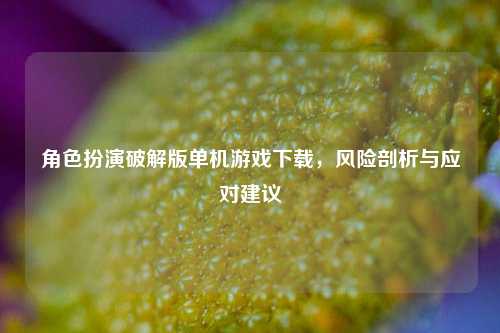 角色扮演破解版单机游戏下载,风险剖析与应对建议