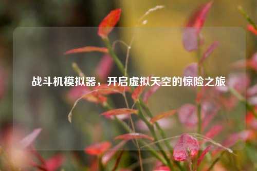 战斗机模拟器,开启虚拟天空的惊险之旅