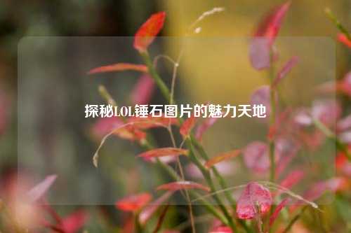 探秘LOL锤石图片的魅力天地