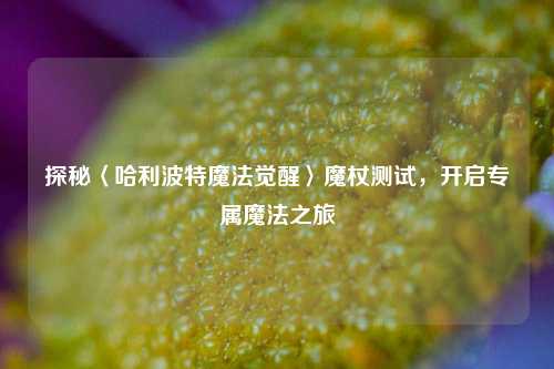 探秘〈哈利波特魔法觉醒〉魔杖测试,开启专属魔法之旅