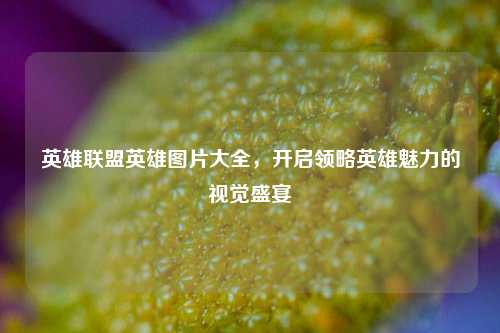 英雄联盟英雄图片大全,开启领略英雄魅力的视觉盛宴