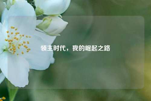 领主时代,我的崛起之路