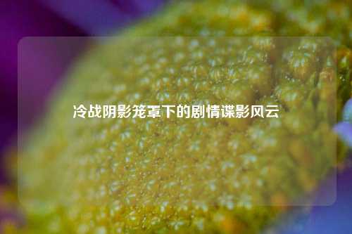 冷战阴影笼罩下的剧情谍影风云