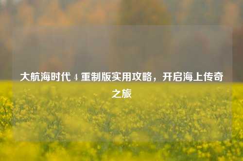 大航海时代 4 重制版实用攻略,开启海上传奇之旅