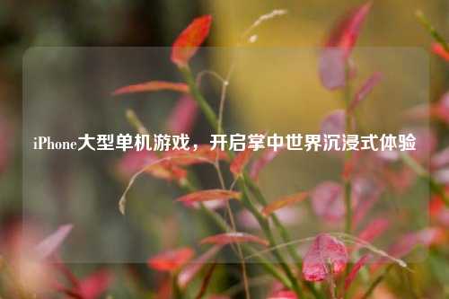 iPhone大型单机游戏,开启掌中世界沉浸式体验