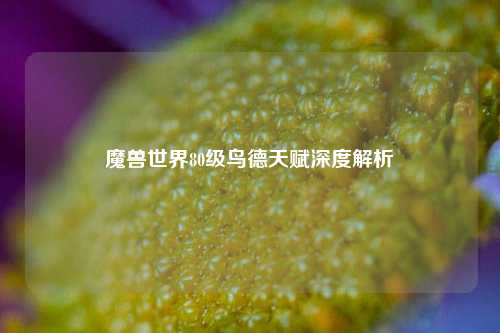 魔兽世界80级鸟德天赋深度解析