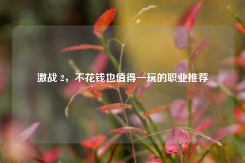激战 2,不花钱也值得一玩的职业推荐