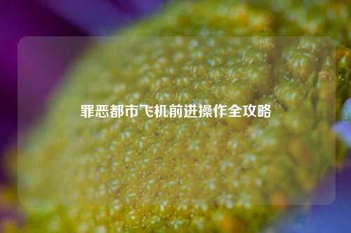 罪恶都市飞机前进操作全攻略