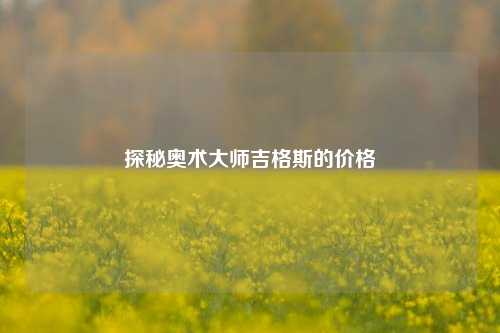 探秘奥术大师吉格斯的价格