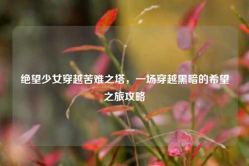 绝望少女穿越苦难之塔,一场穿越黑暗的希望之旅攻略
