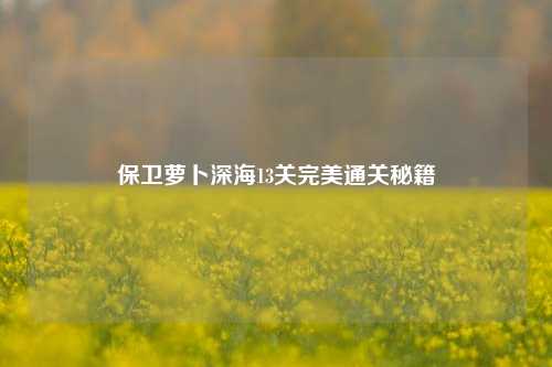 保卫萝卜深海13关完美通关秘籍