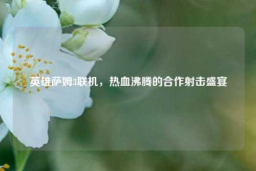 英雄萨姆3联机,热血沸腾的合作射击盛宴
