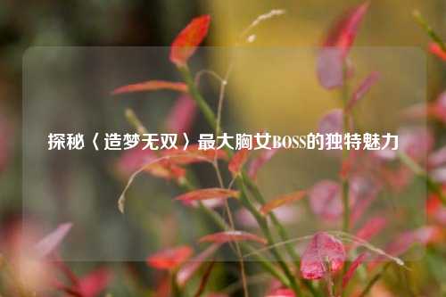 探秘〈造梦无双〉最大胸女BOSS的独特魅力